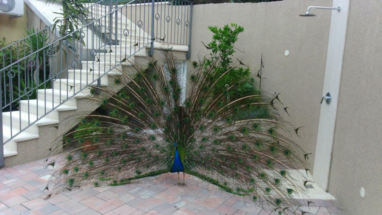 Anka Strman Apartment Makarska Exterior foto