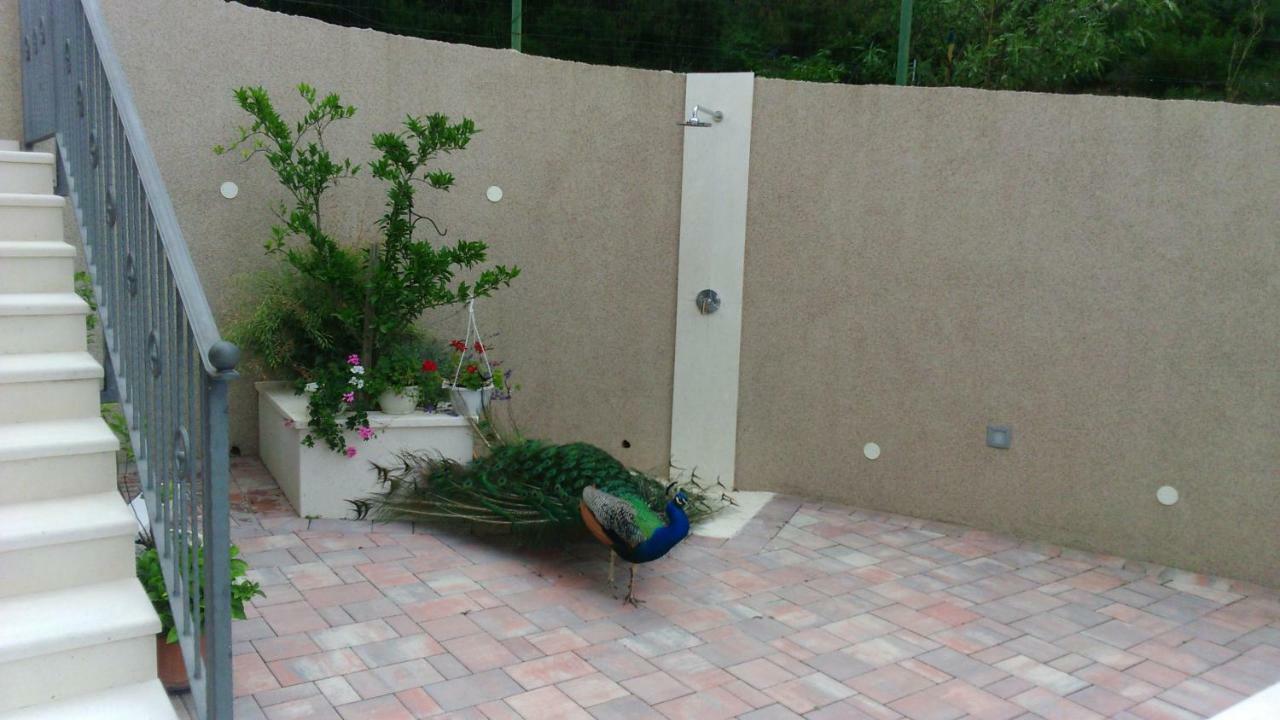 Anka Strman Apartment Makarska Exterior foto